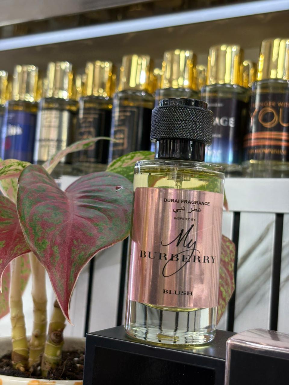 Royal Amber Mist