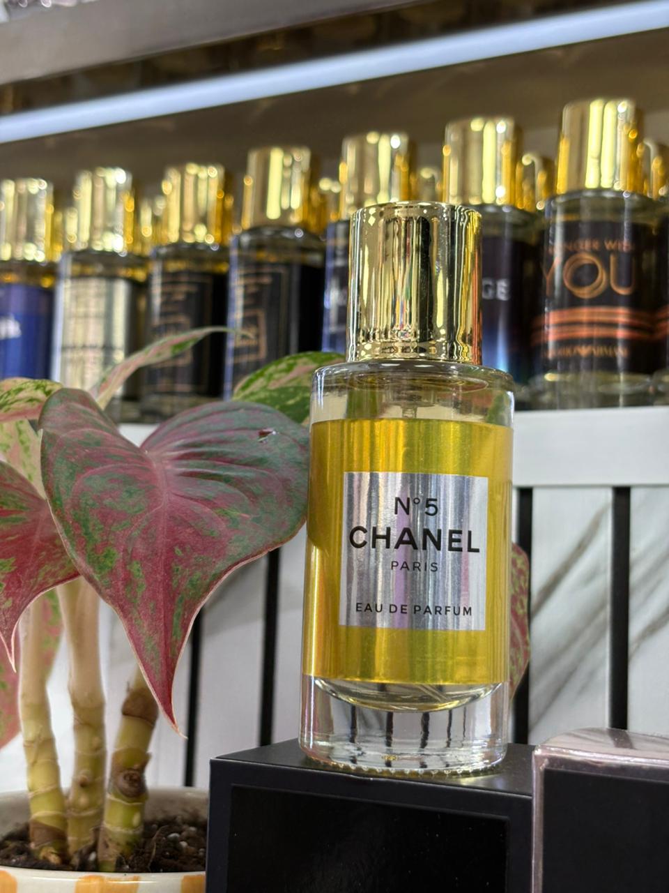 Midnight Oud Elixir