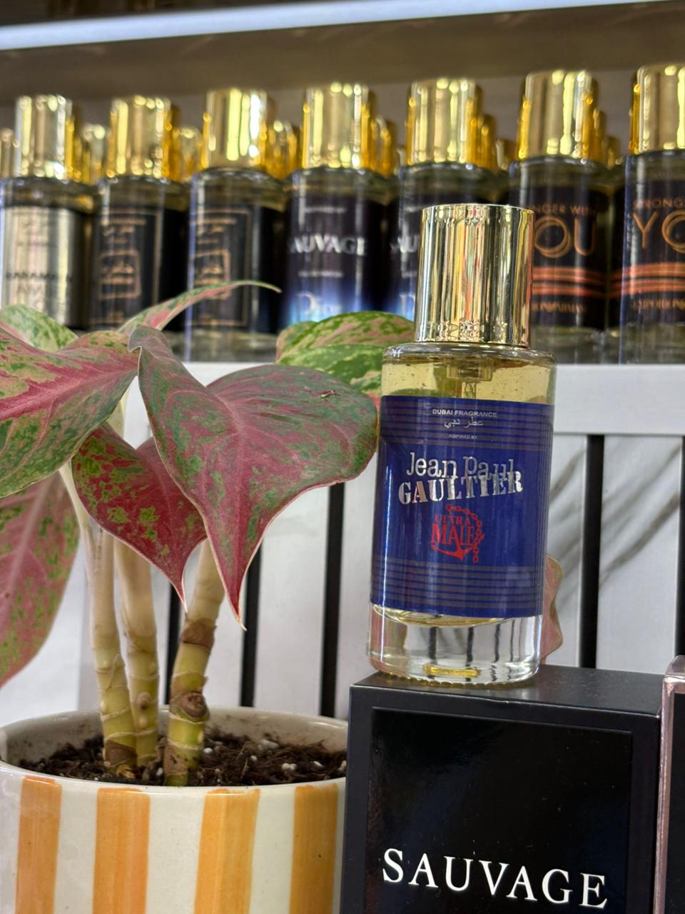Velvet Oud Supreme